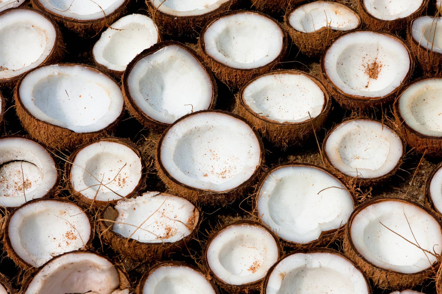 Coconuts drying in the sun