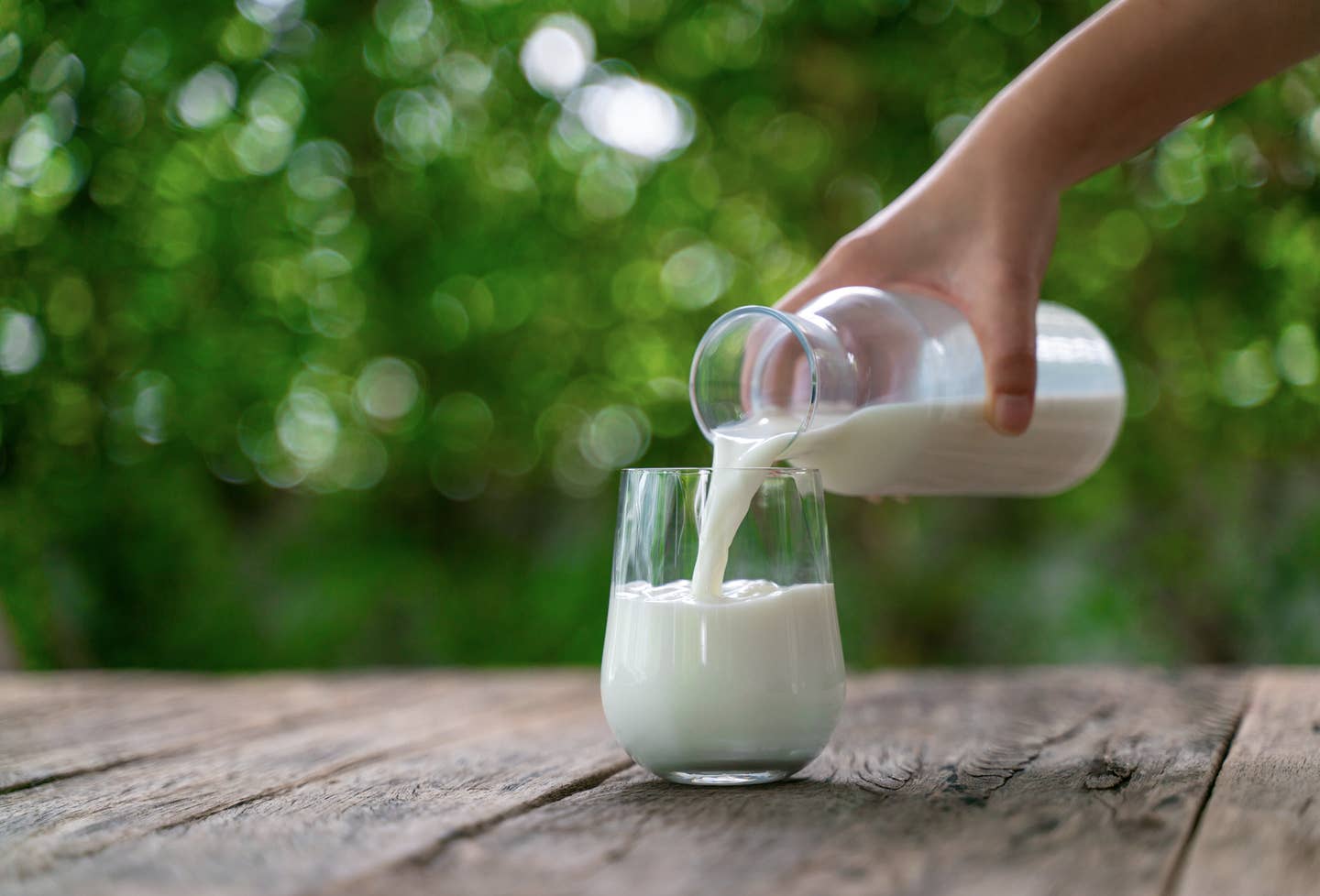 Pouring milk in the glass on the background of nature.